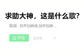 求助大神，这是什么歌？歌词一直唱“加不加麻辣，加不加麻”