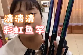 彩虹鱼竿28偏19调可以黑坑，可以野钓 3.6到9米