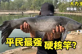 新晋网红爆款，算得上是平民最强硬核竿吗？测评：大力王者鲟鱼版