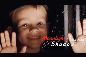 英国排名第一歌曲！《Moonlight Shadow》天使的嗓音，好听的醉了
