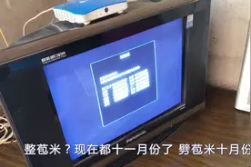 有线用户电视欠费没节目，这提示应该能看明白啊，咋还报修呢？视频封面
