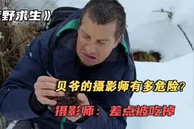 贝爷的摄影师什么时候最危险？摄影师：贝爷饿了，看着我笑的时候视频封面