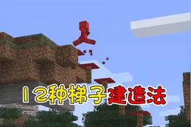 我的世界：12种奇葩梯子神奇的造法，你都试过几个呢？