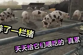 模拟农场：养了一群的猪，天天就知道吃，什么时候能吃肉肉？视频封面
