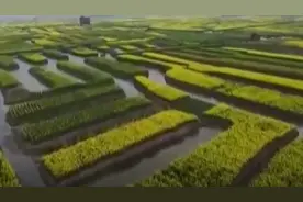 经典：兴化惊现水中浮田，据说由自古就有的崶田演变而来，称垛田