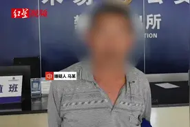 警方抓获引发米易山火嫌疑人：系放羊人 吸烟后扔下烟头视频封面