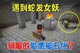 我的世界冰火传说31：遇到蛇发女妖，好不容易驯服的骏鹰被石化了