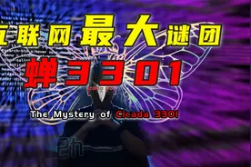 互联网神秘组织蝉3301：招聘世上最聪明的头脑，你能拿到入场券吗视频封面
