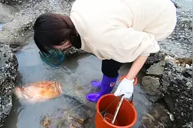 赶海发现罕见大丑鱼，抓起一闻差点被送走，立马拿去卖掉