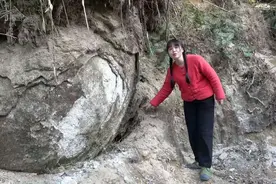 大山里发现比人还大的蛋？你见过吗？有人说是恐龙蛋，不知对不对视频封面