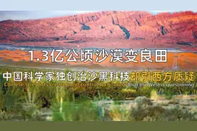 1.3亿公顷沙漠变良田？中国科学家独创治沙黑科技，却引西方质疑视频封面