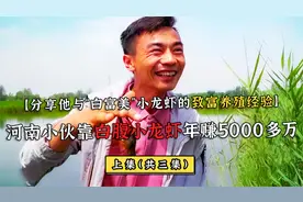 河南小伙养出“白富美”小龙虾，六千亩供不应求，年赚5000多万①视频封面