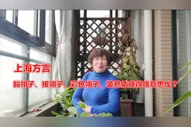 上海闲话：豁翎子、彩色翎子、不接翎子、装戆是啥意思啦？视频封面