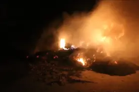 江苏老人怕无人赡养，将2万元现金藏草堆，不料失火了视频封面