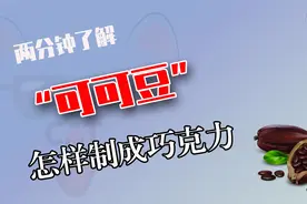 巧克力制作全过程，从可可树的嫁接到结果，然后到加工制成巧克力