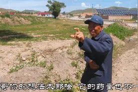 张家口坝上兽医大哥天天忙，村里大哥说他一年挣10万多，挣得不少视频封面