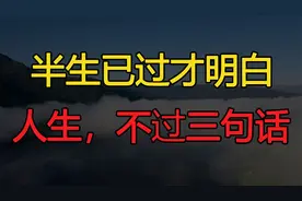 半生已过才明白：人生，不过三句话视频封面