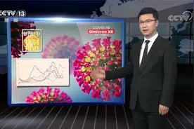 全球最新传播速度最快的重组型变异毒株？解秘新型毒株XE