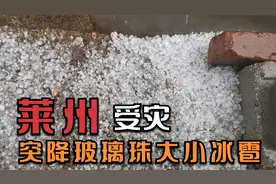 山东莱州突降大雨冰雹 大小如玻璃珠持续10分钟 农民冒雨查看农田视频封面