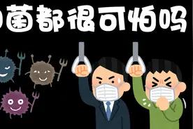 什么是细菌 细菌都很可怕吗？