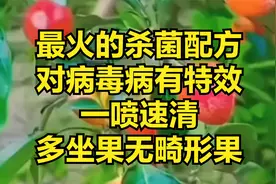 最火的杀菌配方，对病毒病有特效，一喷速清，多坐果无畸形果