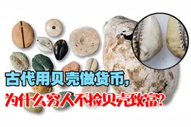 古代用贝壳做货币,为什么穷人不捡贝壳致富? 想法太天真了！视频封面