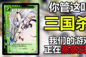 童年最火桌游三国杀，玩家为何疯狂来唾骂！视频封面