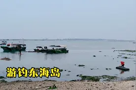 广东湛江东海岛，第一天出海钓鱼，收获一般但是乐趣很多视频封面