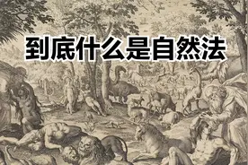 到底什么是自然法？视频封面