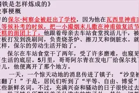 中考语文：钢铁是怎样炼成的梗概复习课件，建议收藏视频封面