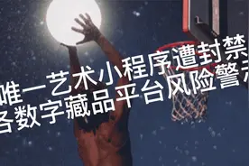 唯一艺术小程序遭封禁，各数字藏品平台风险警示，投资需谨慎视频封面