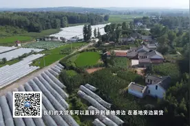 “四好公路”打开乡村幸福门视频封面