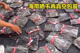 海带放几年不坏的原理在于多晒和包装海带口感跟地方气候水质相关视频封面