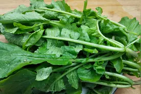 萝卜苗最好吃的做法，营养健康，润肺止咳，增强免疫力身体棒！