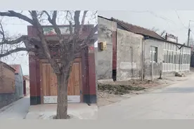 男子偶遇奇葩自建房院门，开门就是一棵树挡路，看到旧门后更惊奇视频封面