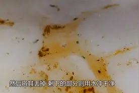 大叔都这样处理鲍鱼，勺子向上一撬瞬间解体，韩国小伙：馋死人了视频封面