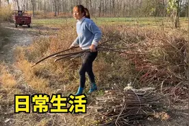 农村小两口的日常生活，忙忙碌碌一下午，日子过的真充实视频封面