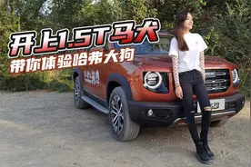 车若初见：“外刚内柔”1.5T兼顾家用 试驾哈弗大狗马犬版