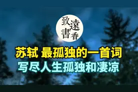 苏东坡最孤独的一首词，写尽了人生的孤独和凄凉，不忍卒读！视频封面