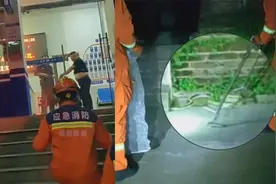 派出所民警打119请消防员抓蛇：这条太大了我不敢抓视频封面