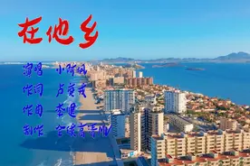 2022最新网络伤感歌曲 小阿枫《在他乡》背井离乡的打工人加油视频封面