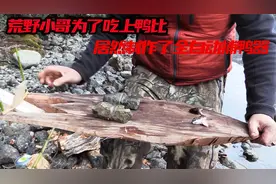 百万荒野独居，小伙制作了抓鸭子神器，却没想到还有意外收获视频封面