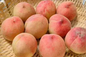 今天才知道，保存桃子这么简单，放半年都不会坏，而且越放越甜视频封面