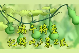 端午将至，“吃凉不吃寒”，记得吃3菜2瓜，舒舒服服过盛夏视频封面