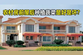 农村房前屋后种植蔬菜是好是坏？新农村能这样建设吗？各有利弊视频封面
