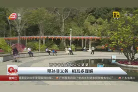 带孙非义务 相互多理解视频封面