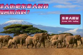 东非大裂谷是如何形成的？全长约6000公里未来很可能形成海洋视频封面