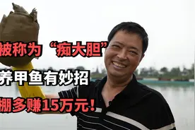 大叔被称为“痴大胆”，温室养甲鱼有妙招，一个棚多赚15万元！视频封面