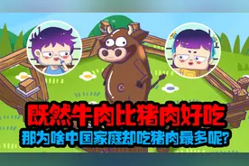 既然牛肉比猪肉好吃，那为啥中国家庭却吃猪肉最多呢？视频封面
