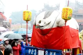200年以来最大猪，体重足足961公斤堪称猪王，最后还是被吃掉了视频封面